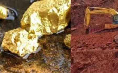 କେନ୍ଦ୍ର ସରକାର ନିଲାମ କରିବେ ଓଡ଼ିଶାର ସୁନା ଖଣି