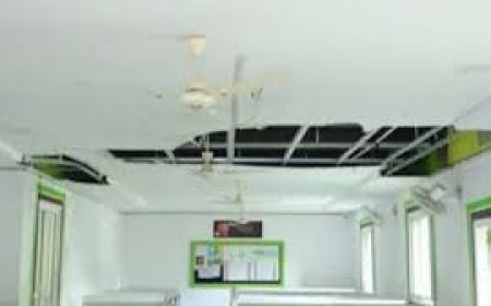 5T ସ୍କୁଲରେ ଦୁର୍ନୀତିର ତଦନ୍ତ ଦାବି କଲେ ବିଧାୟକ