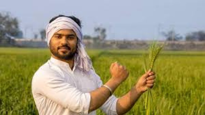 ଆରମ୍ଭ ହେବ ପ୍ରଧାନମନ୍ତ୍ରୀ ଧନ-ଧାନ୍ୟ କୃଷି ଯୋଜନା
