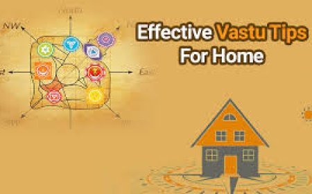 ଘରେ ଯଦି କିଛି ବାସ୍ତୁ ଦୋଷ ଥାଏ, ଜାଣନ୍ତୁ କିପରି  ଠିକ୍‌ କରିବେ?