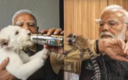 ବନ୍ୟପ୍ରାଣୀଙ୍କ ସହ ୭ ଘଣ୍ଟା ବିତାଇଲେ ପ୍ରଧାନମନ୍ତ୍ରୀ ମୋଦୀ