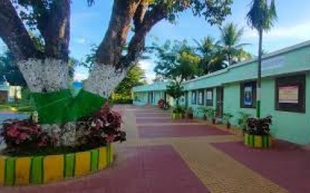 ସରକାରୀ ସ୍କୁଲ, ସବୁ ଜିଲାପାଳଙ୍କୁ ନିର୍ଦ୍ଦେଶ ହେବ ଗେରୁଆ ରଙ୍ଗ