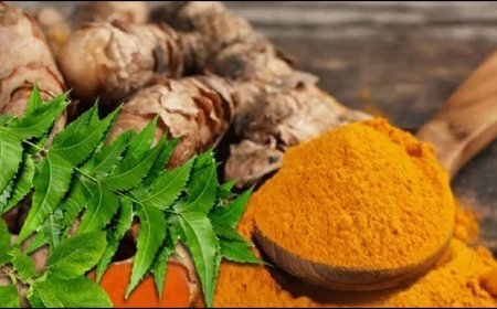 ଶରୀରର ବିଷାକ୍ତ ପଦାର୍ଥ ବାହାର କରିଥାଏ ଏହିସବୁ ଖାଦ୍ୟ 