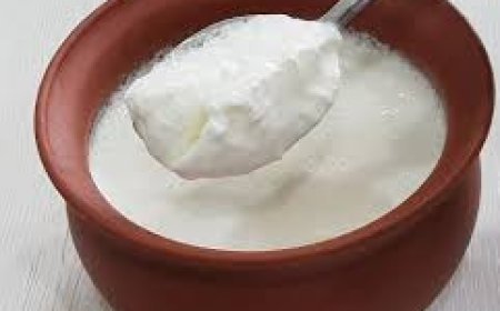 ଖରାଦିନେ ଦହି ଖାଇଲେ ଦୂର ହୁଏ ଏସବୁ ସମସ୍ୟା