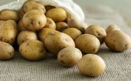 ଫ୍ରିଜରେ ଆଳୁ ରଖୁଛନ୍ତି କି?