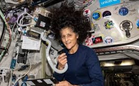 ସୁନିତା  ୱିଲିୟମ୍ସ  କାହିଁକି ମହାକାଶରେ କେଶ ଖୋଲା ରଖନ୍ତି ?