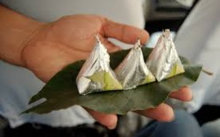 ପାନପତ୍ର  ଚୋବାନ୍ତୁ ମିଳିବ ଅନେକ ସମସ୍ୟାରୁ ମୁକ୍ତି