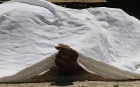 ବଡ଼ଭାଇର କାଠ ଫାଳିଆ ମାଡ଼ରେ ସାନଭାଇ ମୃତ