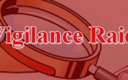 ଡ୍ରଗ୍ସ କଣ୍ଟ୍ରୋଲର ଅଫିସରଙ୍କ ଘରେ ଭିଜିଲାନ୍ସ, ରେଡ୍‌