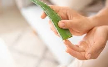 ଚର୍ମ ସମସ୍ୟା ଦେଖାଯାଉଛି କି, ଆଲୋଭେରା ସହ ଲଗାନ୍ତୁ  ଏହି ଜିନିଷ