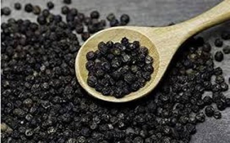 ଗୋଲମରିଚ ପେଟ କମାଏ