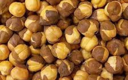 ଶରୀର ପାଇଁ ଉପକାରୀ ଭଜା ଚଣା