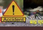 ଟ୍ରାକ୍ଟର ଧକ୍କାରେ ଛାତ୍ର ମୃତ