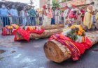 ଆଜି ଅନୁକୂଳ ହେବ ରଥ କାଠ: ଚଳଚଞ୍ଚଳ ଶ୍ରୀକ୍ଷେତ୍ର