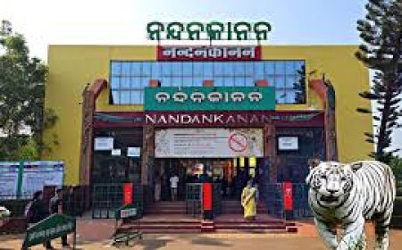 ୨୫ କୋଟି ରାଜସ୍ୱ ଆଦାୟ କଲା ନନ୍ଦନକାନନ 