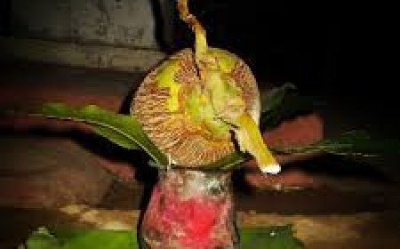 ମୁଖ୍ୟ ଦ୍ୱାରରେ ଶୁଭ କଳସ ରଖୁଛନ୍ତି କି?