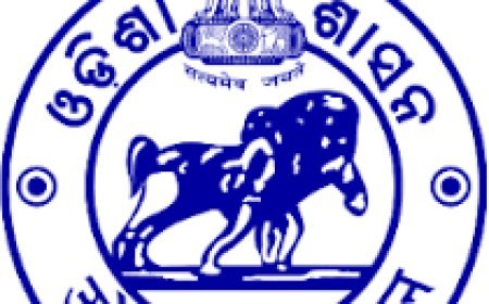 ନିଯୁକ୍ତି ସୁଯୋଗ : ଡିପିପି ପାଇଁ ୨୬୭ଟି ନୂଆ ପଦବୀ