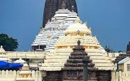 ମହାପ୍ରଭୁଙ୍କ ବନକଲାଗି ସମ୍ପନ୍ନ