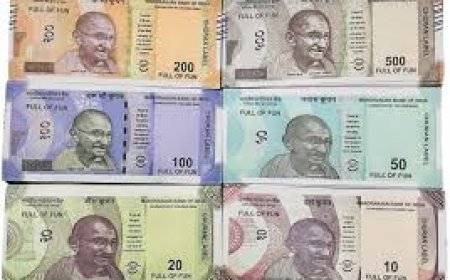 ଚାଲିଥିଲା ଜାଲ୍ନୋଟ୍ କାରବାର : ଜବତ କଲା STF