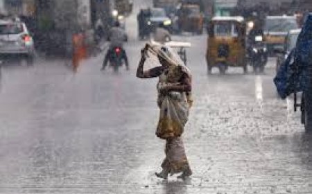 ବର୍ଷା ପାଇଁ ୭ ଜିଲ୍ଲାକୁ ୟେଲୋ ୱାର୍ଣ୍ଣିଂ