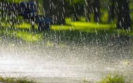 ନକ୍ସଲମୁକ୍ତ ପଞ୍ଚାୟତକୁ ସରକାର ଦେବେ କୋଟିଏ ଟଙ୍କାର ସହାୟତା