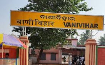 ଭୁବନେଶ୍ୱର ଦୁଇ ଷ୍ଟେସନ ନିକଟରୁ ୨ ଅଜଣା ବ୍ୟକ୍ତିଙ୍କ ମୃତଦେହ ଉଦ୍ଧାର