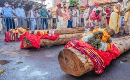 ଆଜି ଅନୁକୂଳ ହେବ ରଥ କାଠ: ଚଳଚଞ୍ଚଳ ଶ୍ରୀକ୍ଷେତ୍ର