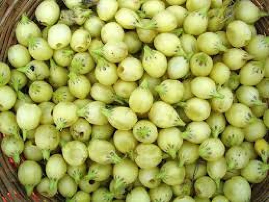 ଆଉ ଶୋଷଣର ଶିକାର ହେବେନି ମହୁଲ ଗୋଟାଳି; ପରିଶ୍ରମର ମିଳିବ ଉଚିତ୍ ମୂଲ୍ୟ