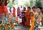 ସାବିତ୍ରୀ ବ୍ରତରେ ବଟ ଗଛରେ କାହିଁକି  ଗୁ଼ଡ଼ାଯାଏ ସୂତା?
