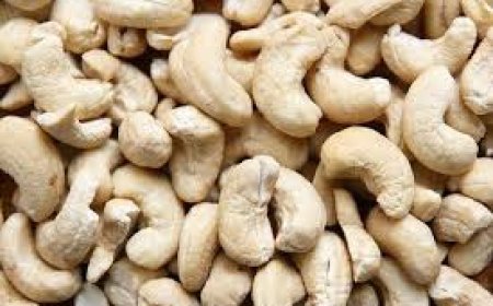 ସ୍ବାସ୍ଥ୍ୟ ପାଇଁ ମଧ୍ୟ ହିତକର କାଜୁ