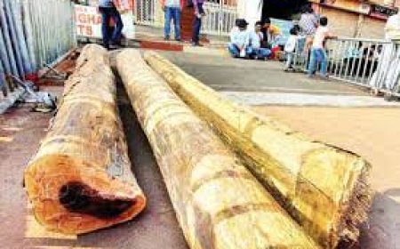 ରଥ କାଠ ଅନୁକୂଳ