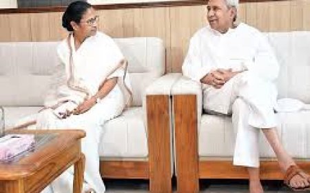 ନବୀନ ବାବୁ ବୁଝାଇଲେ, ମମତା ଦିଦି ବୁଝିଯିବେ !