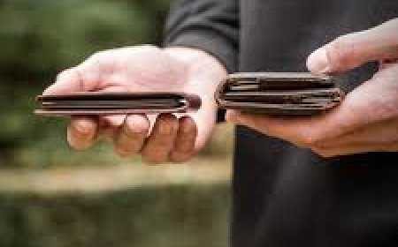 ପର୍ସ ବ୍ୟବହାର କରୁଥିଲେ…ଜାଣନ୍ତୁ