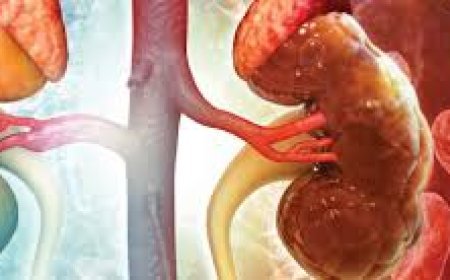 କିଡ୍‌ନୀ ଫେଲ୍‌ ହେଲେ ଦେଖାଦିଏ ଏସବୁ ଲକ୍ଷଣ