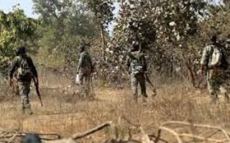 କଂଗ୍ରେସ କର୍ମୀଙ୍କୁ  ମାରି ଫିଙ୍ଗିଦେଲେ ମାଓବାଦୀ