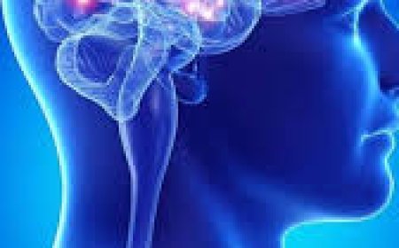 ସ୍ମୃତିଶକ୍ତି ଦୁର୍ବଳ କରେ ଅଧିକ ଚର୍ବି ଓ ଚିନି ଯୁକ୍ତ ଖାଦ୍ୟ