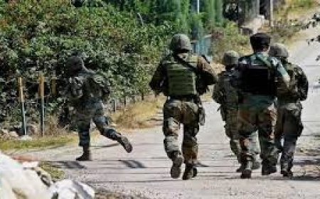 ଛତିଶଗଡ ବିଜାପୁରରେ ଏନକାଉଣ୍ଟର