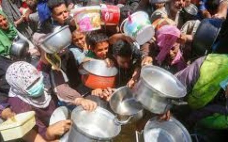 ଅନାହାରରେ ବିଶ୍ୱର ୩୦ କୋଟି  