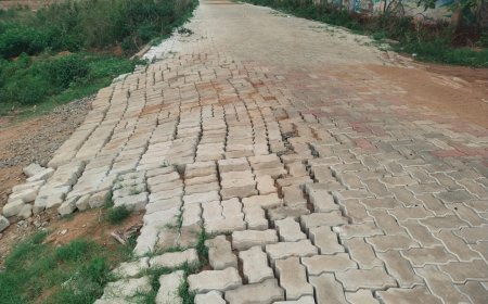 ନିମ୍ନମାନର ପେଭର ବ୍ଲକ୍ କାମ