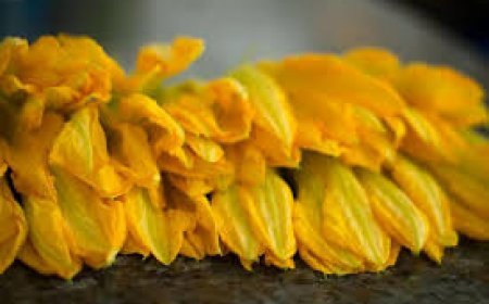 ଦେହ ପାଇଁ ଲାଭଦାୟକ କଖାରୁ ଫୁଲ