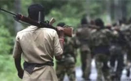 ସୁରକ୍ଷାକର୍ମୀଙ୍କ ଗୁଳିରେ୨ ମାଓବାଦୀ  ନିହତ