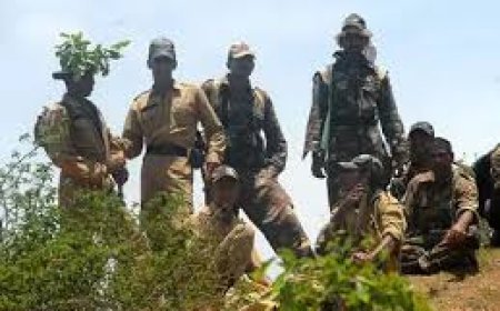 ଆତ୍ମସମର୍ପଣ କଲେ ୨୪ ମାଓବାଦୀ