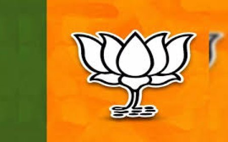 ବିଧାୟକଙ୍କୁ ୬ବର୍ଷ ପାଇଁ ବହିଷ୍କାର କଲା କର୍ଣ୍ଣାଟକ ବିଜେପି