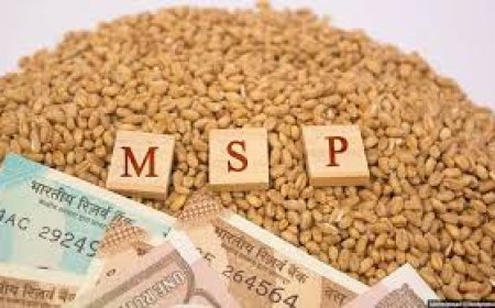 ୬୯ଟଙ୍କା ବଢିଲା ଧାନର ଏମଏସପି 