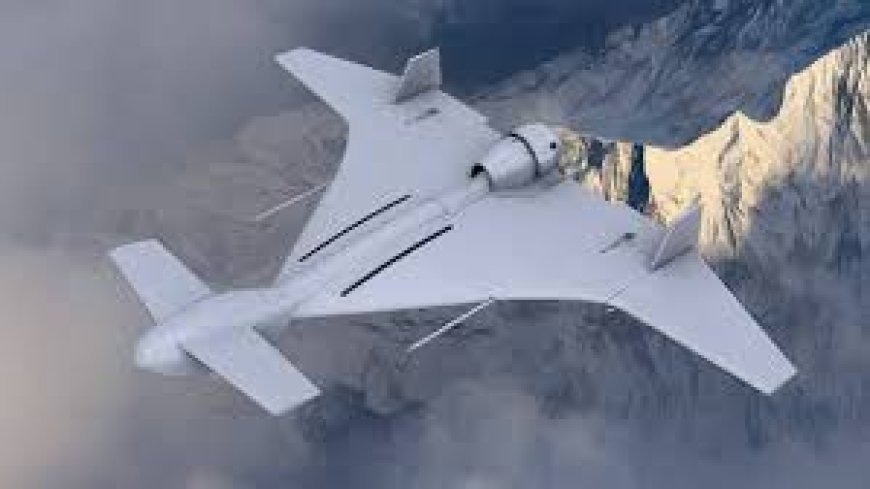 ଭାରତ ରଖିଛି ହାର୍ପି ଡ୍ରୋନ୍‌