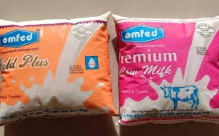 ଓମଫେଡର ନୂଆ  ପ୍ରଡକ୍ଟ :  ୯୦ ଦିନ ରହିବ  ତାଜା