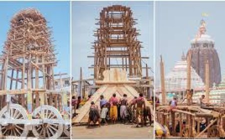 ରଥ ନିର୍ମାଣ ଆଗେଇ ଚାଲିଛି