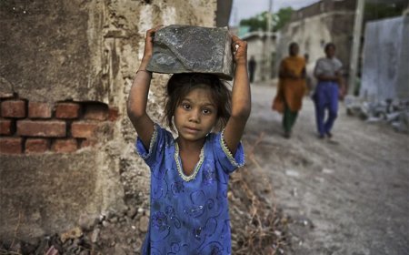 ବିଶ୍ୱ ଶିଶୁ ଶ୍ରମିକ ନିରୋଧ ଦିବସ ପାଳିତ