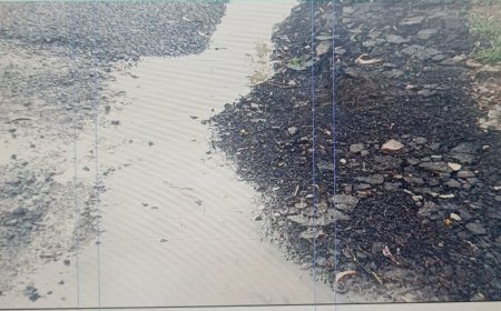 ବର୍ଷାରେ ଚାଲିଛି ପିଚୁ କାର୍ଯ୍ୟ