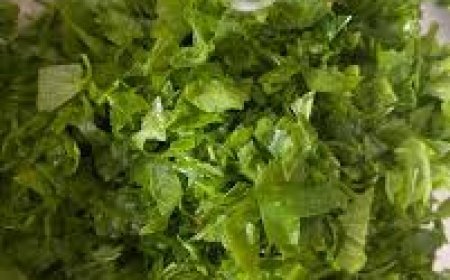 ଆଜ୍‌ମା ରୋଗୀଙ୍କ ପାଇଁ ଉପକାରୀ ଶାଗ